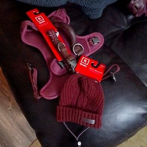 Dog harness hat and collar